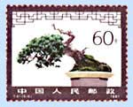 Vorschaubild: Bonsai-Briefmarken